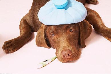 过河就拆桥？多数玩家称Reddit知名盗版版主被任天堂制裁是活该